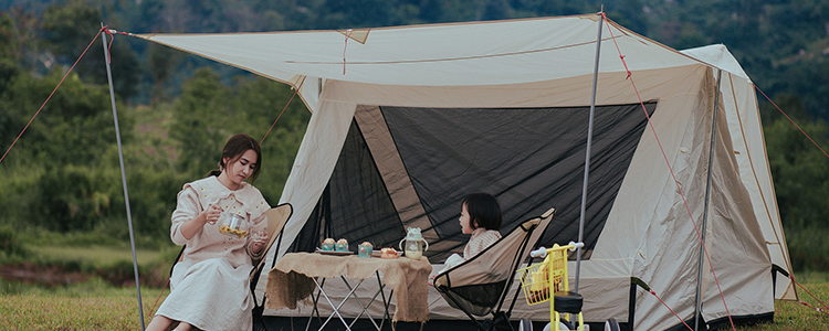 ビギナーセット